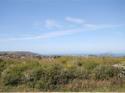 Picture 16
